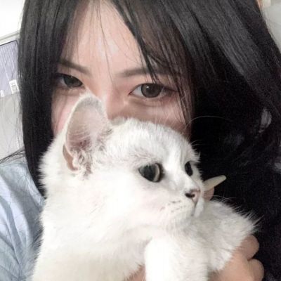 炸鸡派对联机版下载